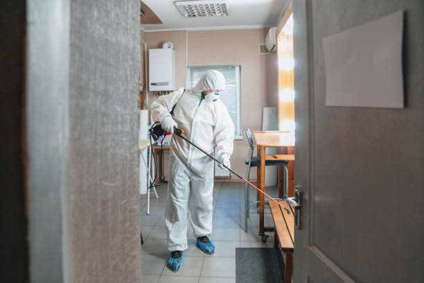 Best Mold Odor Removal Services  in Kendall West, FL