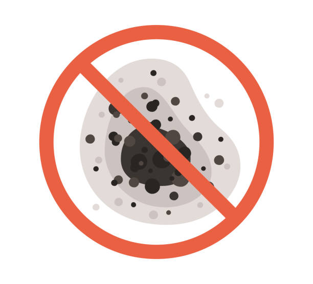 Best Mold Removal for HVAC Installations  in Kendall West, FL