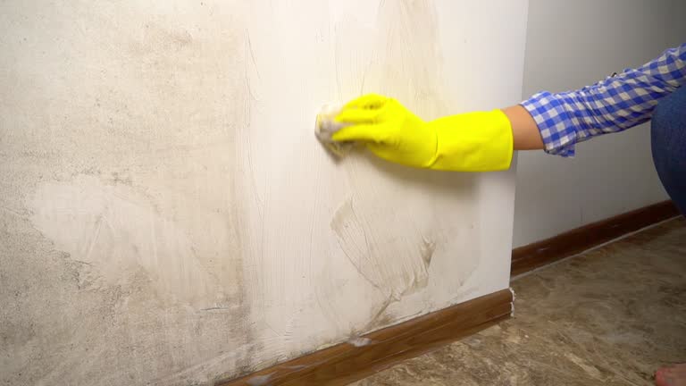 Best Air Quality Testing for Mold Spores  in Kendall West, FL
